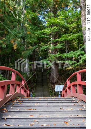 迦葉山龍華院弥勒寺の境内 迦葉堂へ上る参道 群馬県沼田市 迦葉山龍華院弥勒寺の境内 迦葉堂へ上る参道 群馬県沼田市 119466086
