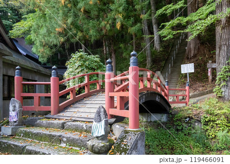 迦葉山龍華院弥勒寺の境内　迦葉堂へ上る参道　群馬県沼田市 119466091