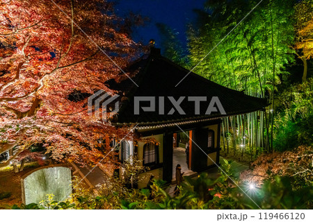 【神奈川県】鮮やかな色彩が美しい長谷寺の紅葉ライトアップ 【神奈川県】鮮やかな色彩が美しい長谷寺の紅葉ライトアップ 119466120