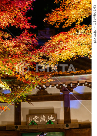 【神奈川県】ライトアップされた長谷寺の地蔵堂と紅葉 【神奈川県】ライトアップされた長谷寺の地蔵堂と紅葉 119466145