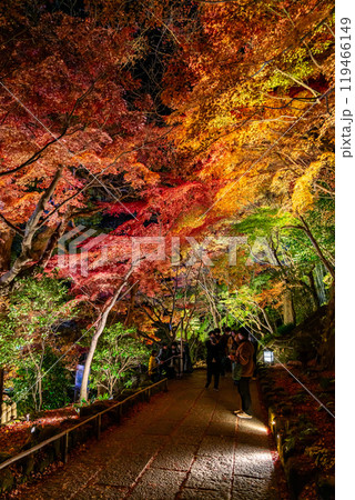 【神奈川県】鮮やかな色彩が美しい長谷寺の紅葉ライトアップ 【神奈川県】鮮やかな色彩が美しい長谷寺の紅葉ライトアップ 119466149