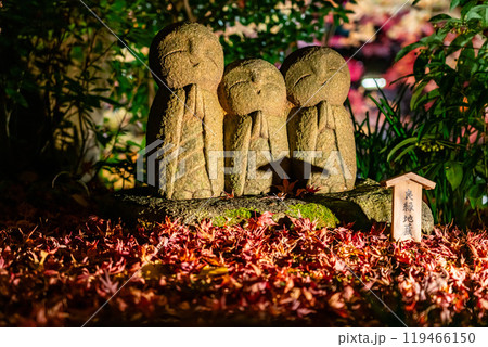 【神奈川県】ライトアップされた長谷寺の良縁地蔵 119466150