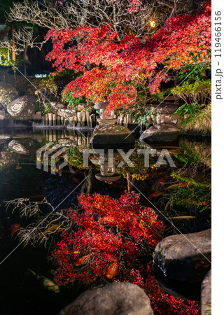 【神奈川県】鮮やかな色彩が美しい長谷寺の紅葉ライトアップ 【神奈川県】鮮やかな色彩が美しい長谷寺の紅葉ライトアップ 119466156