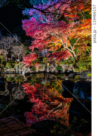 【神奈川県】鮮やかな色彩が美しい長谷寺の紅葉ライトアップ 【神奈川県】鮮やかな色彩が美しい長谷寺の紅葉ライトアップ 119466157