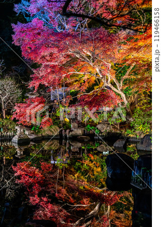 【神奈川県】鮮やかな色彩が美しい長谷寺の紅葉ライトアップ 【神奈川県】鮮やかな色彩が美しい長谷寺の紅葉ライトアップ 119466158