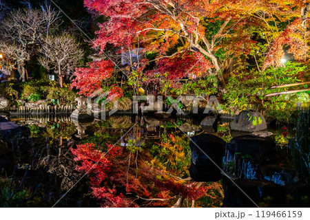 【神奈川県】鮮やかな色彩が美しい長谷寺の紅葉ライトアップ 【神奈川県】鮮やかな色彩が美しい長谷寺の紅葉ライトアップ 119466159