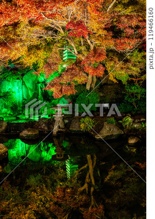 【神奈川県】鮮やかな色彩が美しい長谷寺の紅葉ライトアップ 119466160