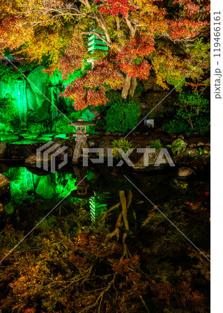 【神奈川県】鮮やかな色彩が美しい長谷寺の紅葉ライトアップ 119466161