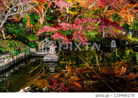 【神奈川県】鮮やかな色彩が美しい長谷寺の紅葉ライトアップ 【神奈川県】鮮やかな色彩が美しい長谷寺の紅葉ライトアップ 119466170