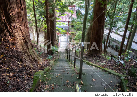 迦葉山龍華院弥勒寺の境内　迦葉堂へ上る参道　群馬県沼田市 119466193