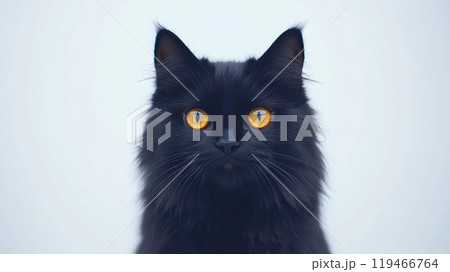 黄色い瞳の黒猫 119466764