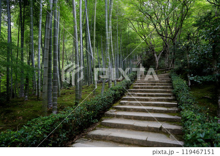 常寂光寺　京都　嵯峨野　嵐山 119467151