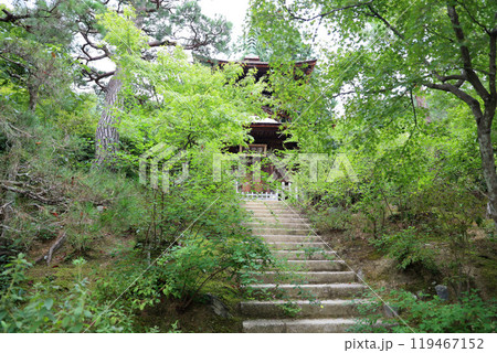 常寂光寺 京都 嵯峨野 嵐山 常寂光寺 京都 嵯峨野 嵐山 119467152