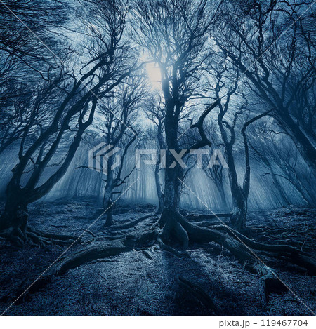 Spooky forest, dark forest, foggy forest, tree shadows, crow sounds, sound of the wind, eerie atmosphere, maze-like paths, crunching leaves, old trees, supernatural occurrences, ghost in the forest, w 119467704