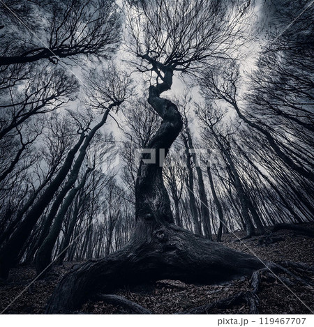 Spooky forest, dark forest, foggy forest, tree shadows, crow sounds, sound of the wind, eerie atmosphere, maze-like paths, crunching leaves, old trees, supernatural occurrences, ghost in the forest, w 119467707