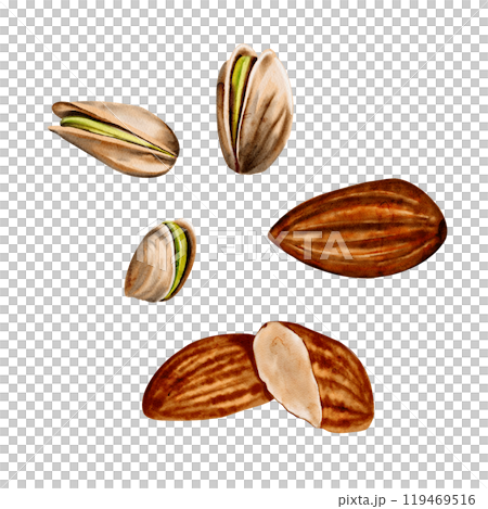 Set of nuts. Almonds and pistachios. natural, natural colors. Watercolor illustration without background. Set of nuts for desserts. High quality illustration Set of nuts. Almonds and pistachios. natural, natural colors. Watercolor illustration without background. Set of nuts for desserts. High quality illustration 119469516