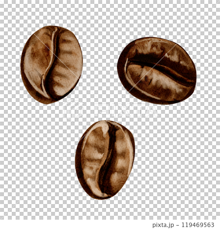 Coffee beans. Three big beans. Brown shades. Roasted aromatic coffee. Watercolor illustration. No background. Sketch illustration. High quality illustration 119469563