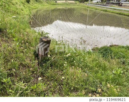 水田のある風景 水田のある風景 119469621