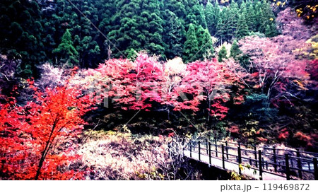 高千穂の紅葉 119469872