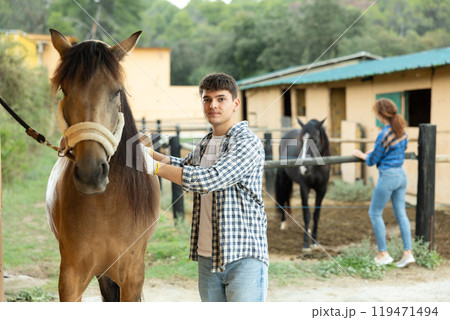Young owner man washing and brushing horse in backyard of farm 119471494