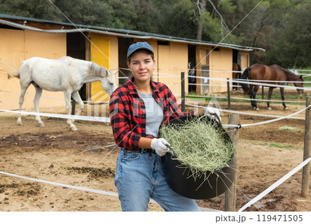 Hardworking young farmer girl standing with basket of hay and feeding horse while working at stable. Concept of agriculture and taking care of animals 119471505