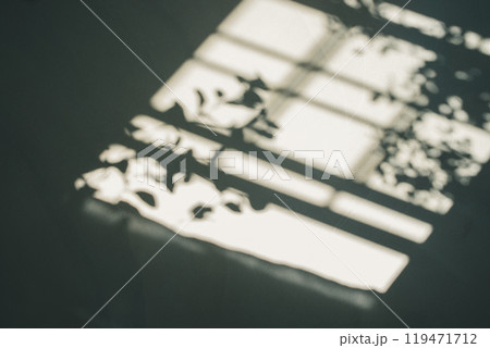 床に窓からの強い日差しが差し込む 床に窓からの強い日差しが差し込む 119471712