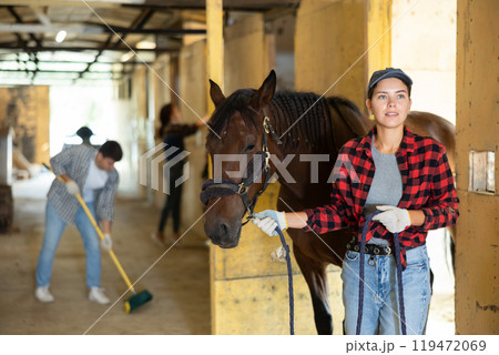 Positive young girl in plaid shirt and gloves takes horse out of stall at stable 119472069