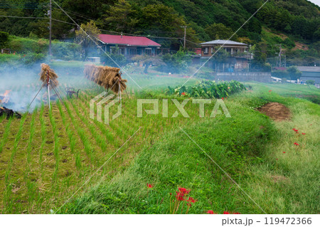 煙が立ち込める彼岸花の里　日向　秋の農村風景 119472366