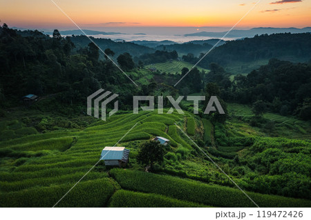 Aerial view of the rice fields,Rice fields and mountains in the early morning Aerial view of the rice fields,Rice fields and mountains in the early morning 119472426