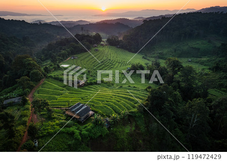 Aerial view of the rice fields,Rice fields and mountains in the early morning Aerial view of the rice fields,Rice fields and mountains in the early morning 119472429