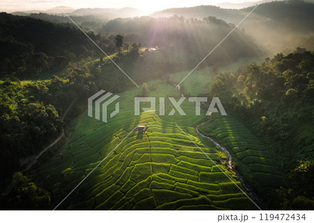 Aerial view of the rice fields,Rice fields and mountains in the early morning 119472434