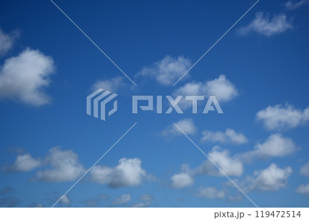 大空 119472514