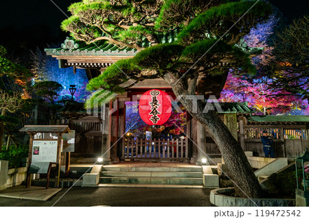 【神奈川県】ライトアップされた長谷寺の山門と提灯 119472542