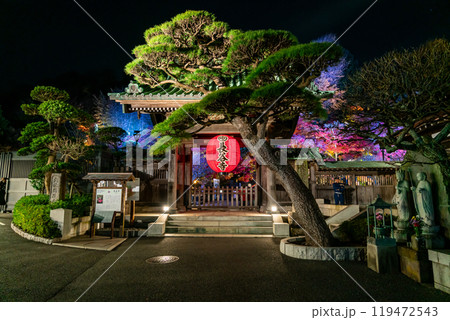 【神奈川県】ライトアップされた長谷寺の山門と提灯 119472543