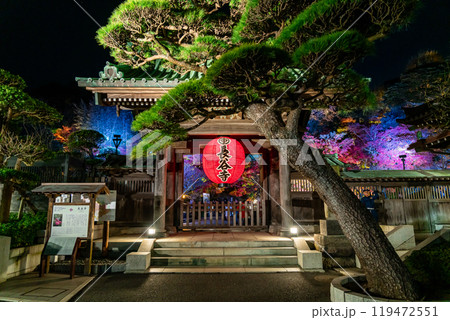【神奈川県】ライトアップされた長谷寺の山門と提灯 119472551
