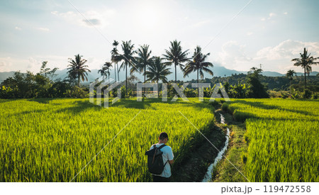aerial view rice fields in the evening in pai thailand aerial view rice fields in the evening in pai thailand 119472558