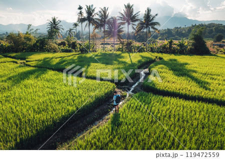aerial view rice fields in the evening in pai thailand 119472559