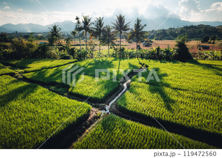 aerial view rice fields in the evening in pai thailand 119472560