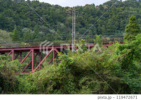 緑に包まれた鉄橋 119472671