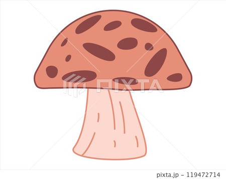 Mushroom wild fungi Porcini Amanita Muscaria fungus brown color edible vegetable botanical design icon set 119472714