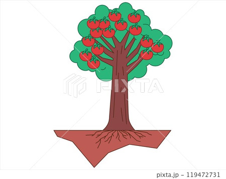 Fruit bearing tree harvest phase stage garden plant natural organic botanical plant fresh tomato colorful design icon set Fruit bearing tree harvest phase stage garden plant natural organic botanical plant fresh tomato colorful design icon set 119472731