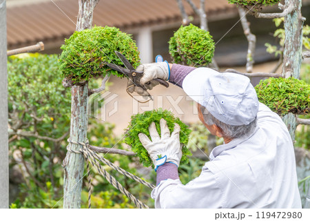 働く高齢者　地域社会に　貢献　庭木の剪定サービス 119472980