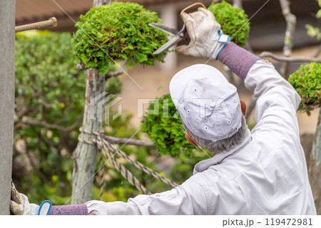 働く高齢者　地域社会に　貢献　庭木の剪定サービス 119472981