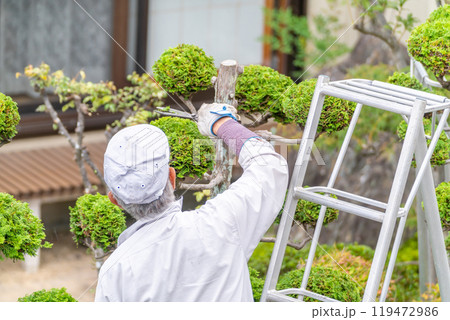 働く高齢者　地域社会に　貢献　庭木の剪定サービス 119472986