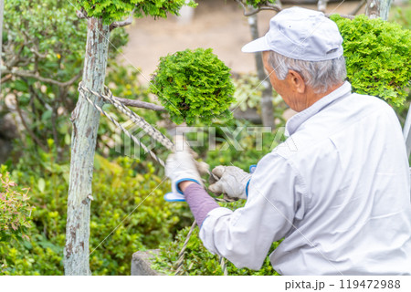 働く高齢者 地域社会に 貢献 庭木の剪定サービス 働く高齢者 地域社会に 貢献 庭木の剪定サービス 119472988