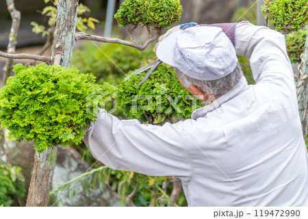 働く高齢者　地域社会に　貢献　庭木の剪定サービス 119472990