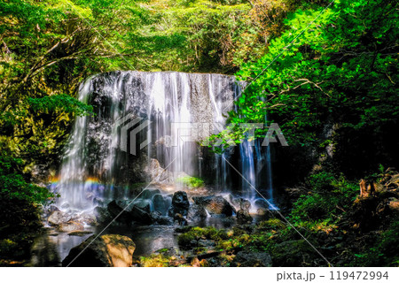 緑に包まれた達沢不動滝 119472994