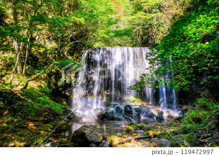 緑に包まれた滝 119472997