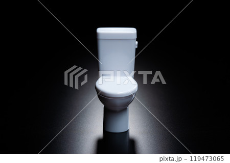 黒背景に配置されたトイレのミニチュア模型 119473065