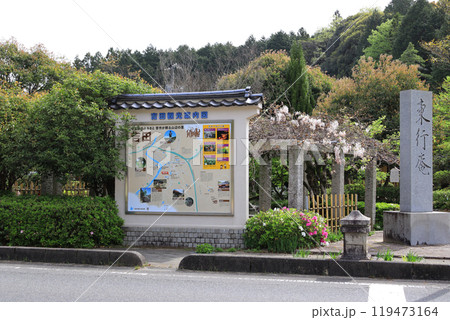 山口県下関市の白い藤が咲く東行庵 119473164